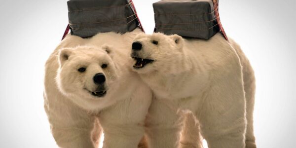 Animatronic-Polar-Bear-Entertainment
