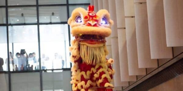 Balancing-Lion-Dancer-Show