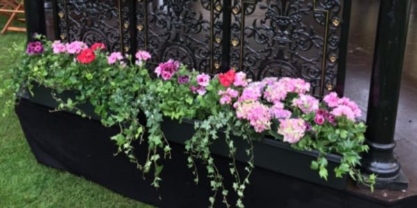 Bandstand-Floral-Decorations