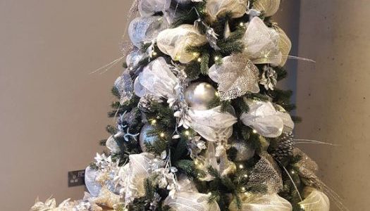 Blue and Cream Christmas Trees for hire