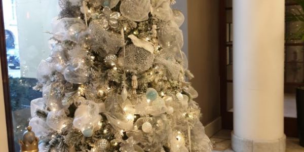 Blue and White Christmas Trees