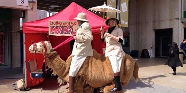 Camel-Adventurers