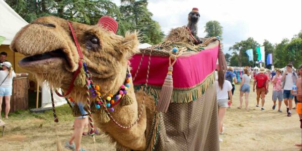 Camel-Walkabout-Act-Festivals
