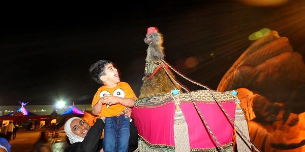 Camel-Walkabout-And-Meerkat