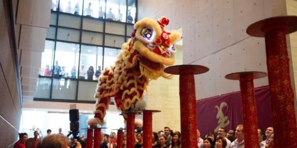 Chinese-Lion-Dancer-Acrobat