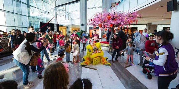 Chinese-Lion-Dancers-Shopping-Centre
