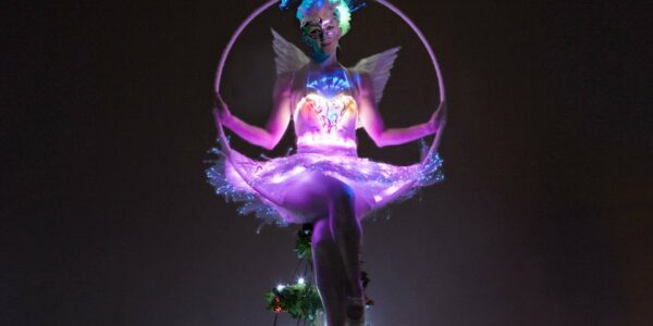 Christmas-Circus-Acts