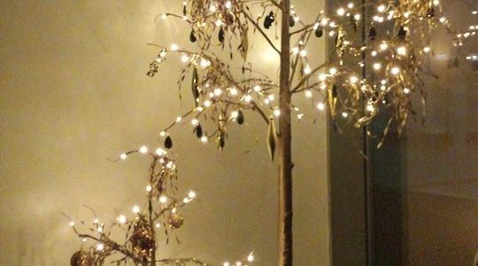 Christmas Commercial Golden setup