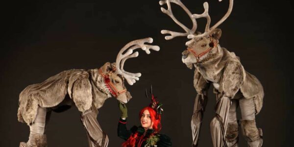 Christmas-Elf-Hire-For-Events