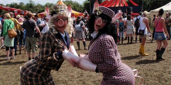 Classy-Christmas-Pigs-Festivals