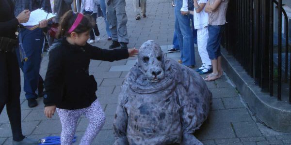 Cow-Seal-Performer