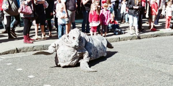 Cow-Seal-and-Marine-Biologist-Duo