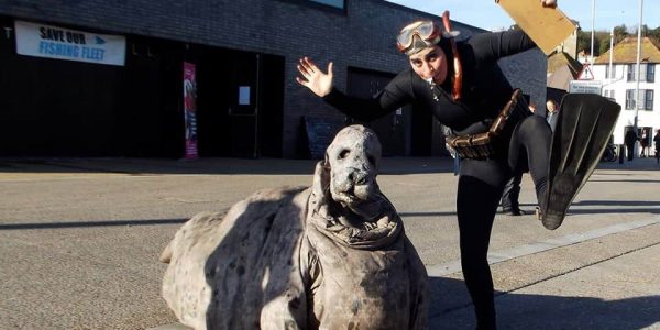 Cow-Seal-and-Marine-Biologist-Entertainers