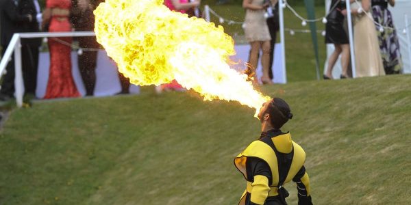 Dragon-Fire-Ninjas