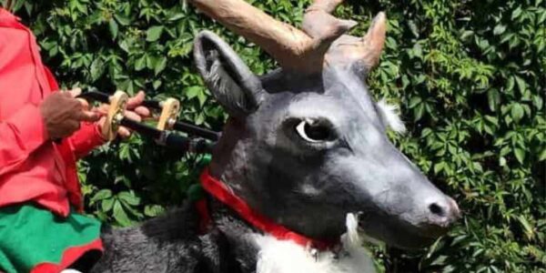 Elf-Riding-Reindeer-Act
