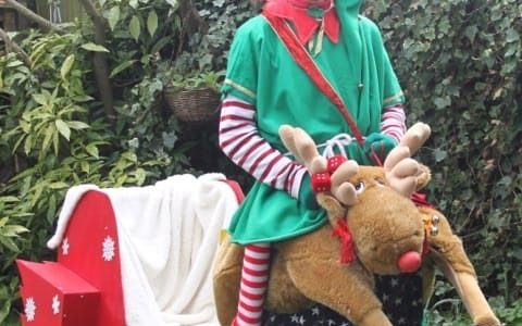 Festive-Elf-Entertainer