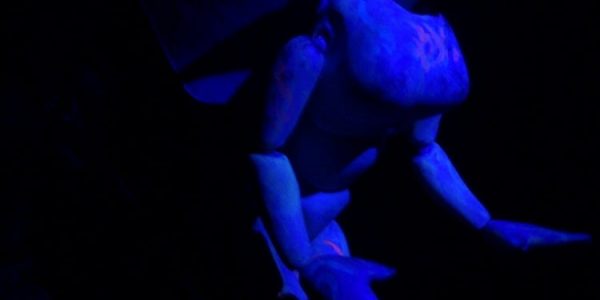 Fluorescent-Fairy-And-Keeper