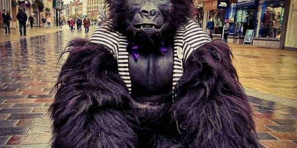 Gorilla-Circus-Entertainment