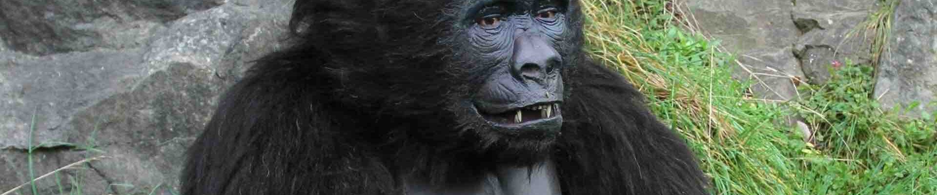 Gorilla-Jungle-Themed-Performer Gorilla-Jungle-Themed-Performer