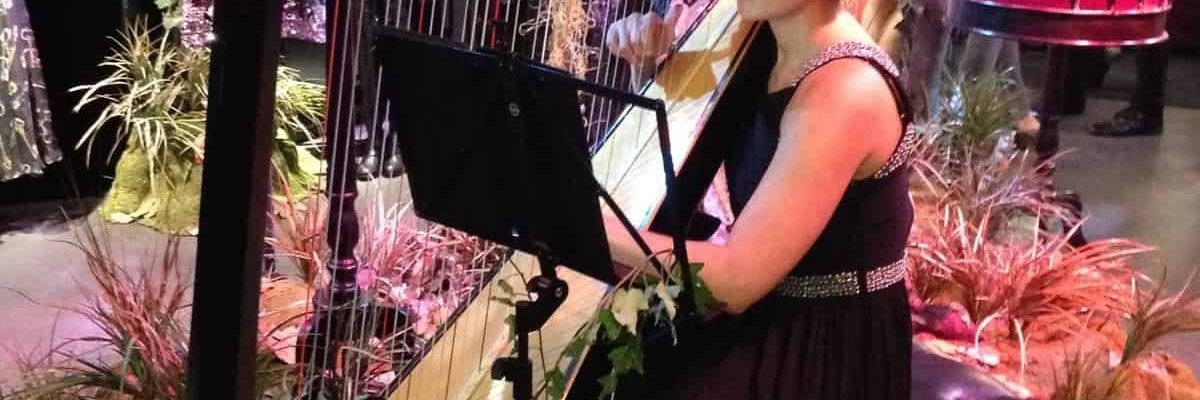 Harpist-For-Hire