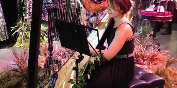 Harpist-For-Hire