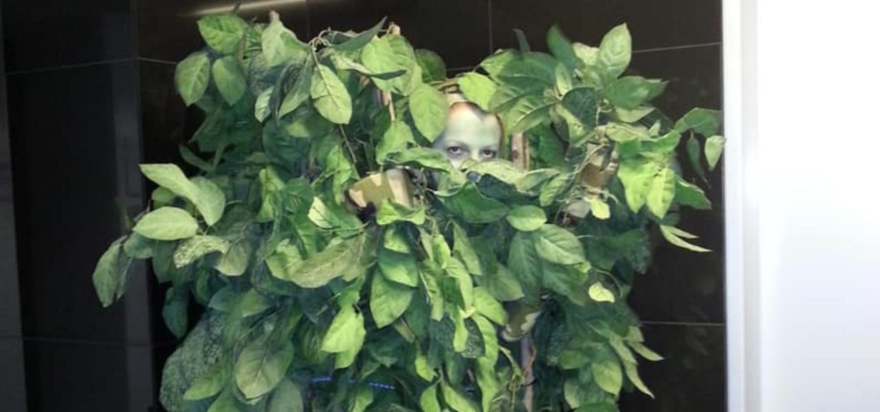 Human-Tree-Dragons-Den (1)