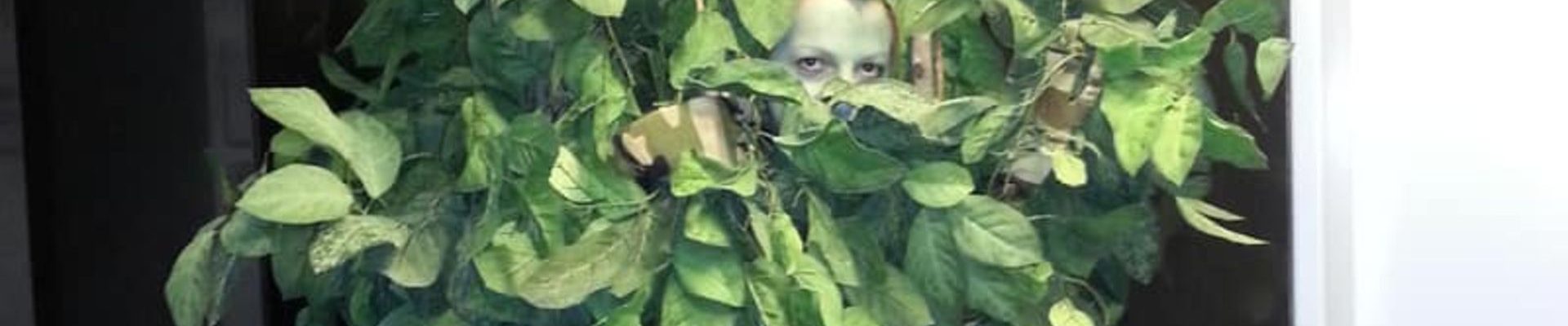 Human-Tree-Dragons-Den (1)