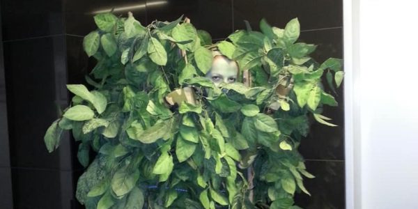 Human-Tree-Dragons-Den (1)