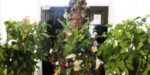 Human-Tree-Dragons-Den-Performer