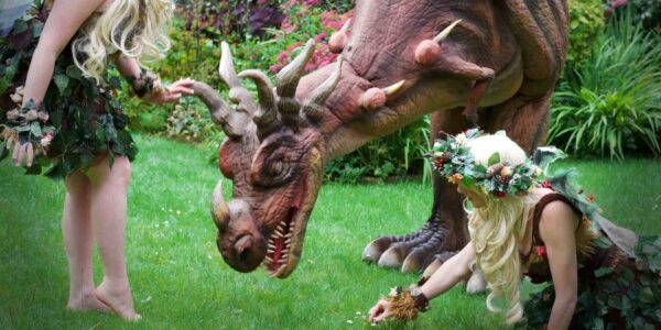 Interactive-Dragon-And-Fairies