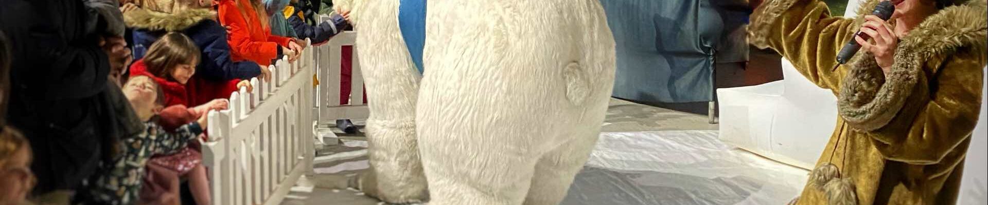 Interactive-Polar-Bear-At-Event