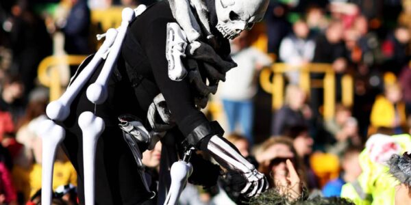 Hire skeleton walkabout for your carnivals and festivals.