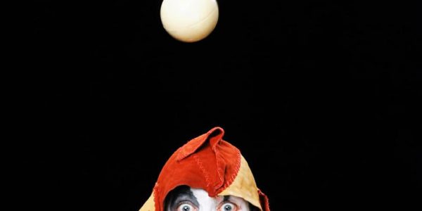 Medieval-Harlequin