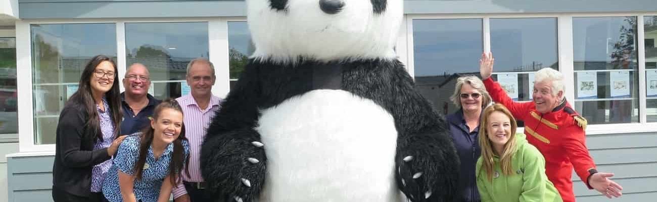 Panda-Walkabout-Performer Panda-Walkabout-Performer