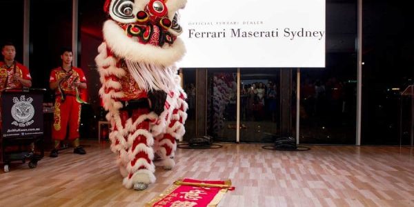 Red-Traditional-Chinese-New-Year-Lion-Dancer