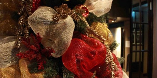 Red and Green Tree for hire