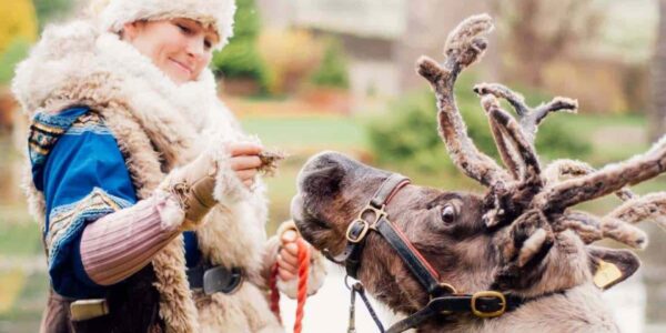 Reindeer-Meet-And-Greet-Experience