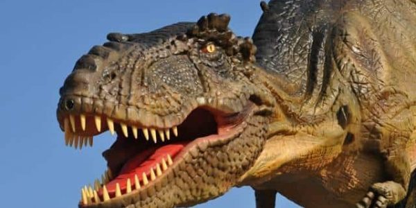 Rex-The-Animatronic-Dinosaur