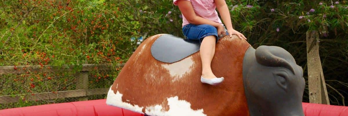 Rodeo-Bull-Simulator Rodeo-Bull-Simulator