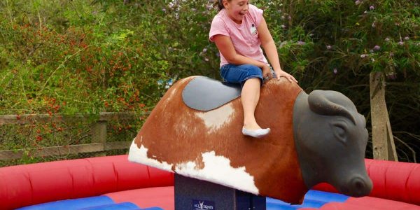 Rodeo-Bull-Simulator