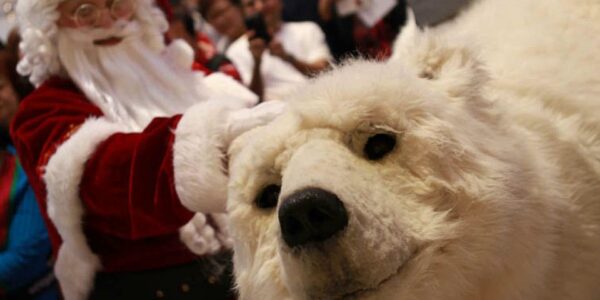 Santa-Claus-Petting-Polar-Bear