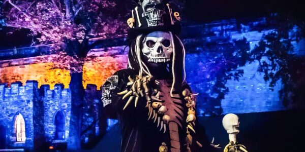 Book our halloween entertainment for your seasonal occasions and celebrations.