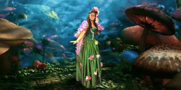 The-Botanical-Pixies-Performer