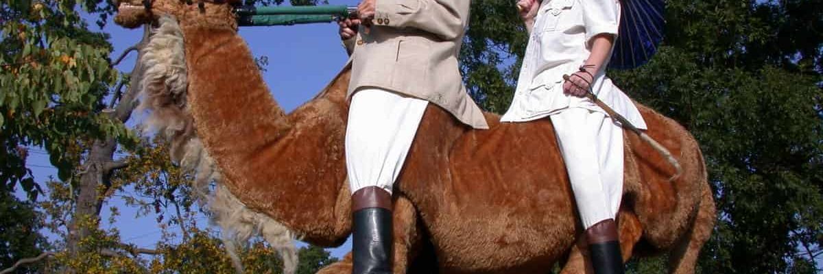 The-Camel-Adventurers-Act The-Camel-Adventurers-Act