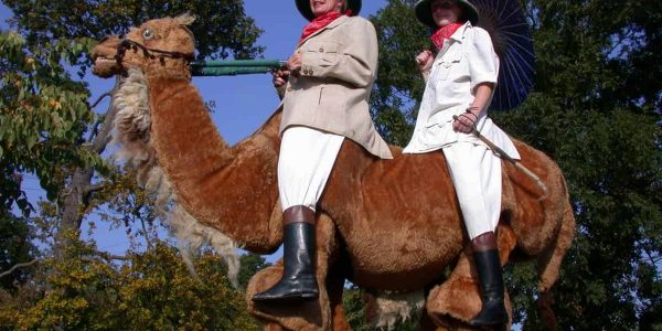 The-Camel-Adventurers-Act