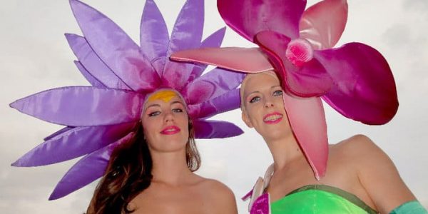 The-Fancy-Flowers