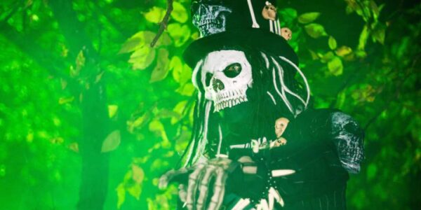 Themed-Skeleton-Act