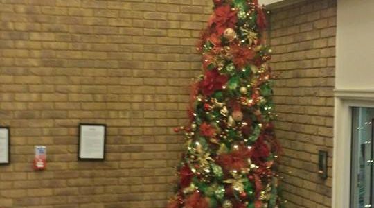 Traditional Classic Green and Red Christmas Tree