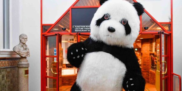 Walkabout-Chinese-Panda-Character
