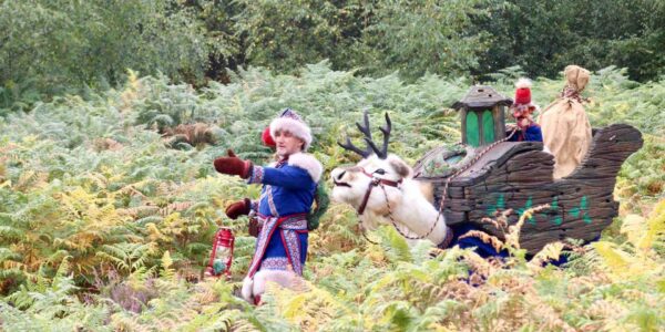 Walkabout-Christmas-Reindeer-Character